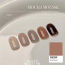 (2025) 봄 신상 네일 칼라, 디자인 위시리스트