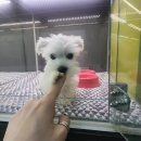 슈나기획 이미지