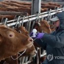 충주축협동물병원 이미지