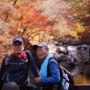 정섭농장 이미지