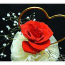 서생중학교 이미지