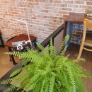 카페두드림 이미지