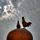 나래목장 이미지