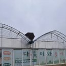 죠이월드 이미지