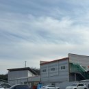 청산민물장어 이미지