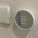 그리네스트 이미지