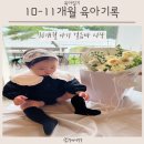 러빗폴스튜디오 | [11개월 육아일기] 10개월 후반 걸음마 시작하고 행복한 11개월의 기록 (23.8월-9월 일기)