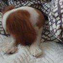 헬로그루밍 이미지