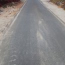 김성남 농장 이미지