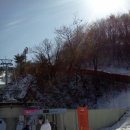 양지파인리조트 이미지