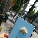 예쁜인테리어