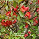 가장자리 이미지