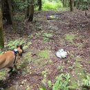 색달동-19 이미지