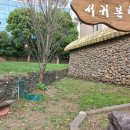 서귀 본향당 이미지