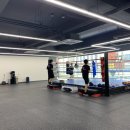 유타복싱클럽 이미지