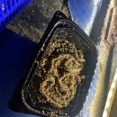 88실내바다낚시터 이미지