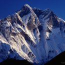 산 카카오 검색결과