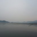 당항 이미지