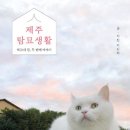 제주이야기 민박 이미지