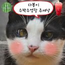 카페 평산책사랑방 여름 인기 음료는 🍉주스 이미지