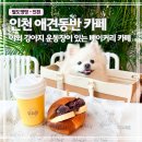 장아산로 | 인천 애견동반 카페 빌리 방문 후기 | 인천대공원 대형 베이커리 카페