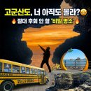 부안세화관광여행사 | 부안 채석강에서 고군산군도까지! 유람선 타고 무녀도 쥐똥섬 걷는 서해안 당일치기 코스