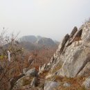 전남화순 백아산 (白鵝山) 산행기 (대구우정산악회) 이미지