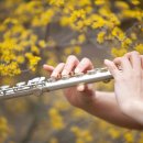 플루트9중급) 이미지