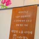 카페양노