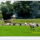 장뜰두레놀이 이미지