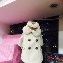 중앙동물메디컬센터 이미지