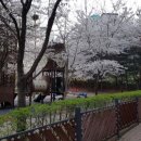 호만브레인유치원 이미지