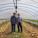 들봄가든 이미지