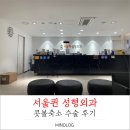 서울퀸성형외과