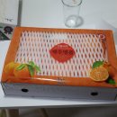 태현농장 | 제주감귤 레드향 설선물세트 받는 입장 후기 제주가볼만한곳 태현농장