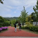 함께할 개 이미지