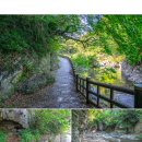 안덕계곡 앞 3 이미지