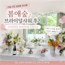 [서초/잠원동] 강남 논현역 근처 브라이덜샤워 파티룸 내돈내산 추천 봄애숲 스튜디오 후기