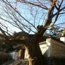 아랑유치원 | 2014.1.8