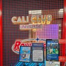 장비공유데이 | 로켓츠 아이스하키 원데이클래스 역삼점 예약 및 클래스 후기