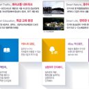 세영자전거 네이버블로그