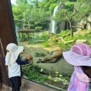 에버랜드 후기! 9개월과 5살 아이도 푹 빠진 물놀이💦 + 나이트사파리🐅까지