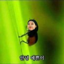 촌련 | [캠프통 아일랜드 내돈내산 후기] 이땐 몰랐죠 지금이 이렇게 더울지,, ⭐️