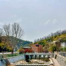 냥이 많은 식탁 | 부암동 중식당 팔선생 상명대점 샹라지 강력추천 내돈내먹후기