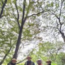 동부공원 | 무등산국립공원 동부사무소 11월 정기봉사활동후기 2025.11.08