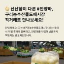 농수산물도매시장 채소1동_1 이미지