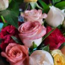 장미유통 | 꽃한단 혼합 생화 장미세트 체험권 후기 🌹✨