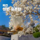 충혼탑 | 부산근교 당일치기 경남 창원 목련 개화 충혼탑