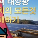 태양유통주