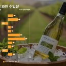 (주)트랜드이슈 이미지